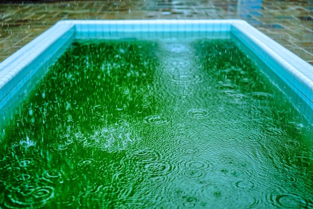 eau verte après remplissage d'une piscine à l'eau de pluie